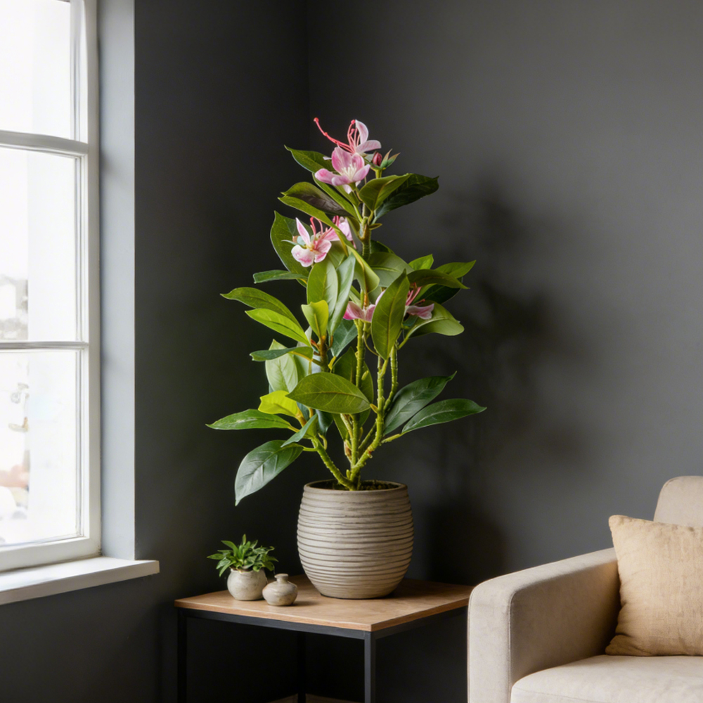 زهور أزاليا صناعية بطول 21-40  - مراجعة Ficus Lyrata Tree وسعره