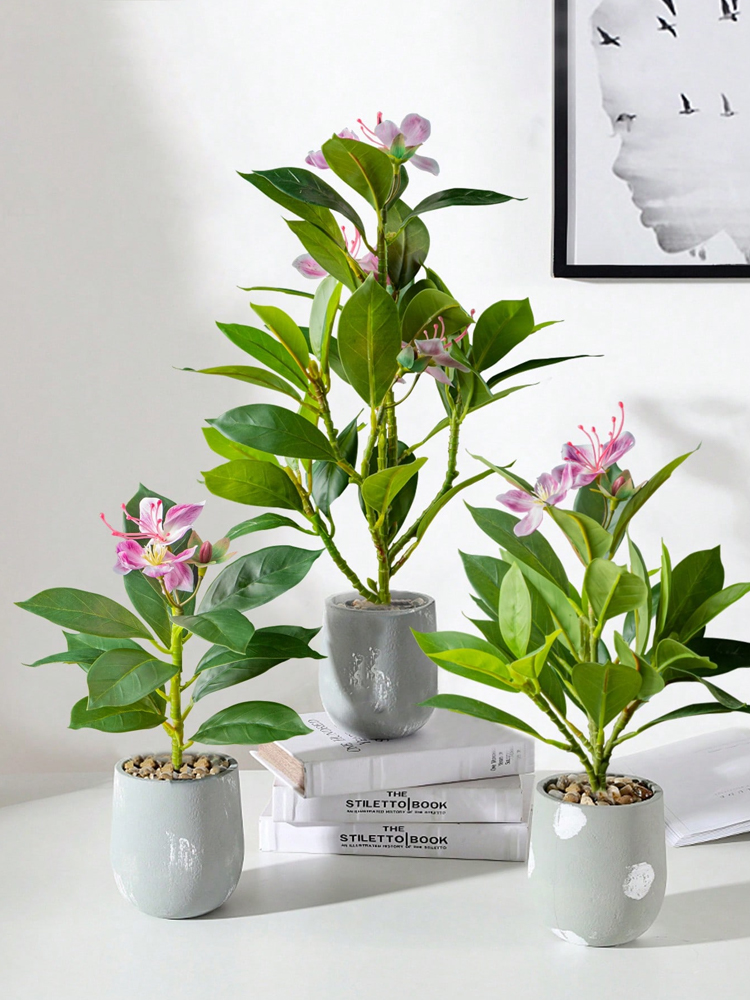 21-40 سنتيمتر نباتات الأزالياس - مراجعة Ficus Lyrata Tree وسعره