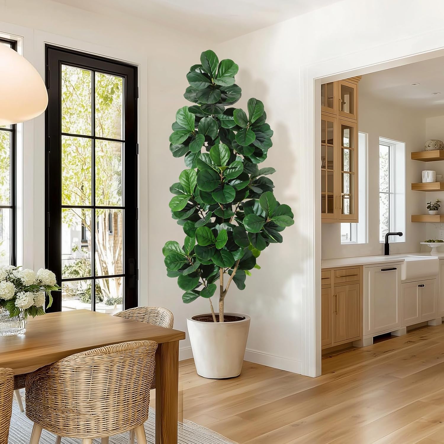 4-7 أقدام كمان ورقة شجرة التين - مراجعة Ficus Lyrata Tree وسعره