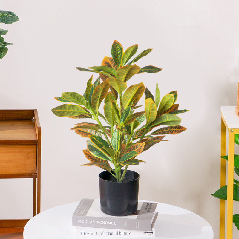 24-41 سنتيمتر النباتات الاصطنا - مراجعة Ficus Lyrata Tree وسعره